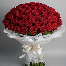 Букет 101 Красная роза Блэк Мэджик #REPLACE_PRED# Коммунаре Курской области
