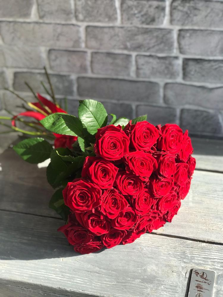 Букет Красные розы Фридом в Коммунаре Курской области