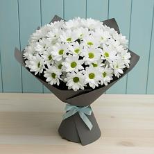 Букет цветов из:  Хризантемы в Коммунаре Курской области