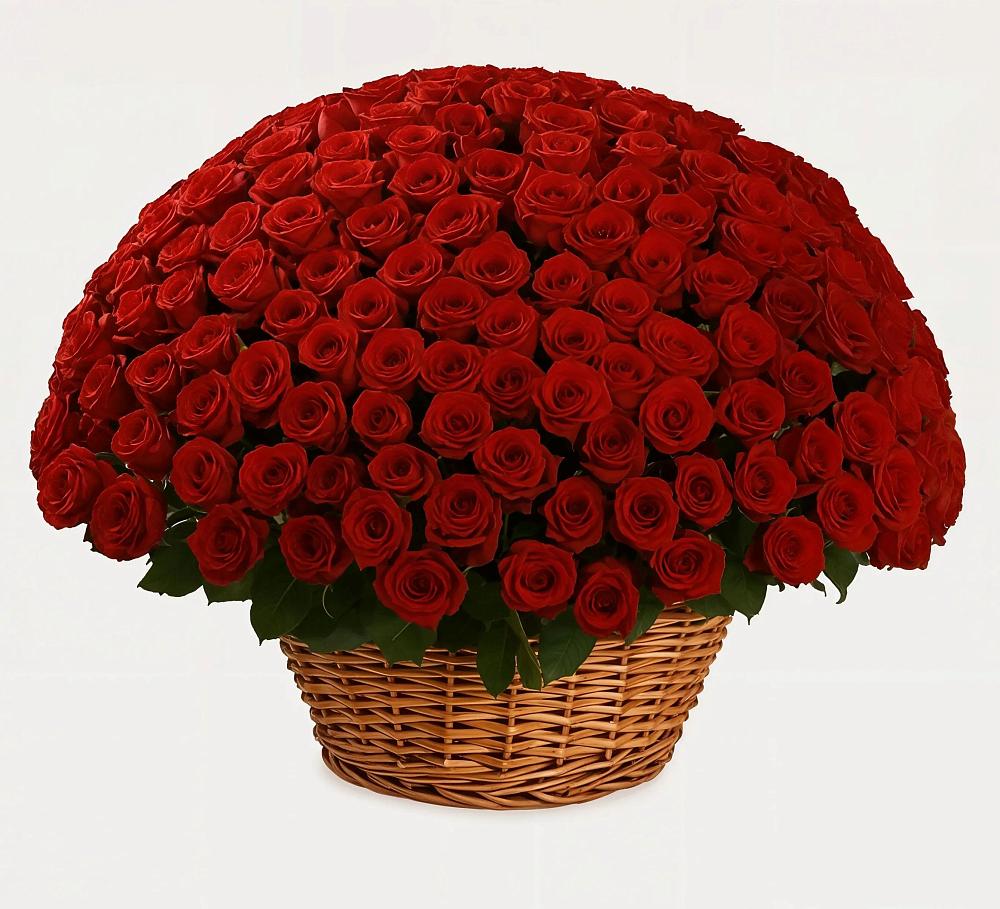 Премиум букет из: Розы в Коммунаре Курской области
