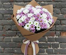 Букет цветов из:  Хризантемы в Коммунаре Курской области