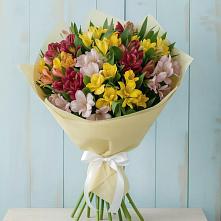 Букет цветов из:  Альстромерии в Коммунаре Курской области