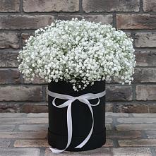 Цветочная композиция из Гипсофила в шляпной коробке #REPLACE_PRED# Коммунаре Курской области